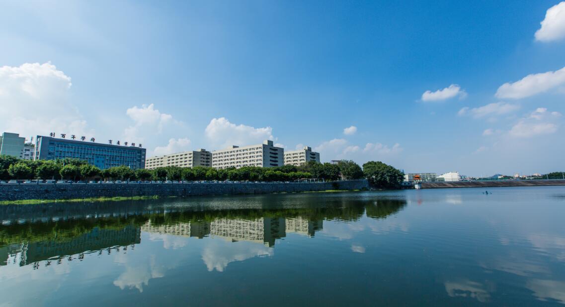这是小图片